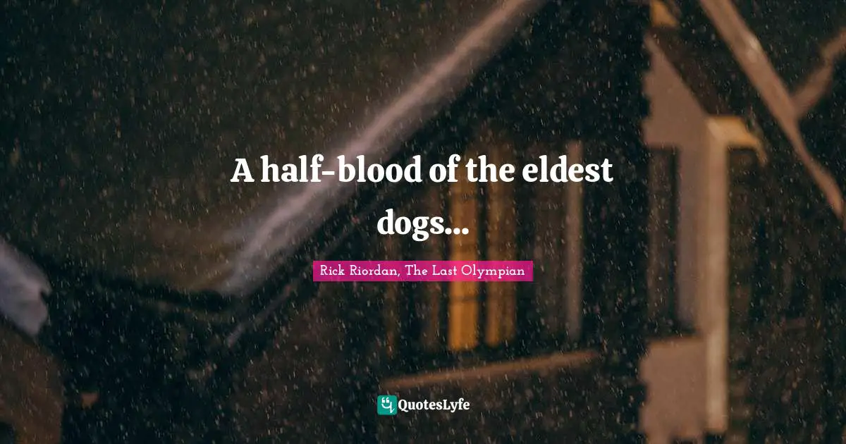 A half-blood of the eldest dogs...