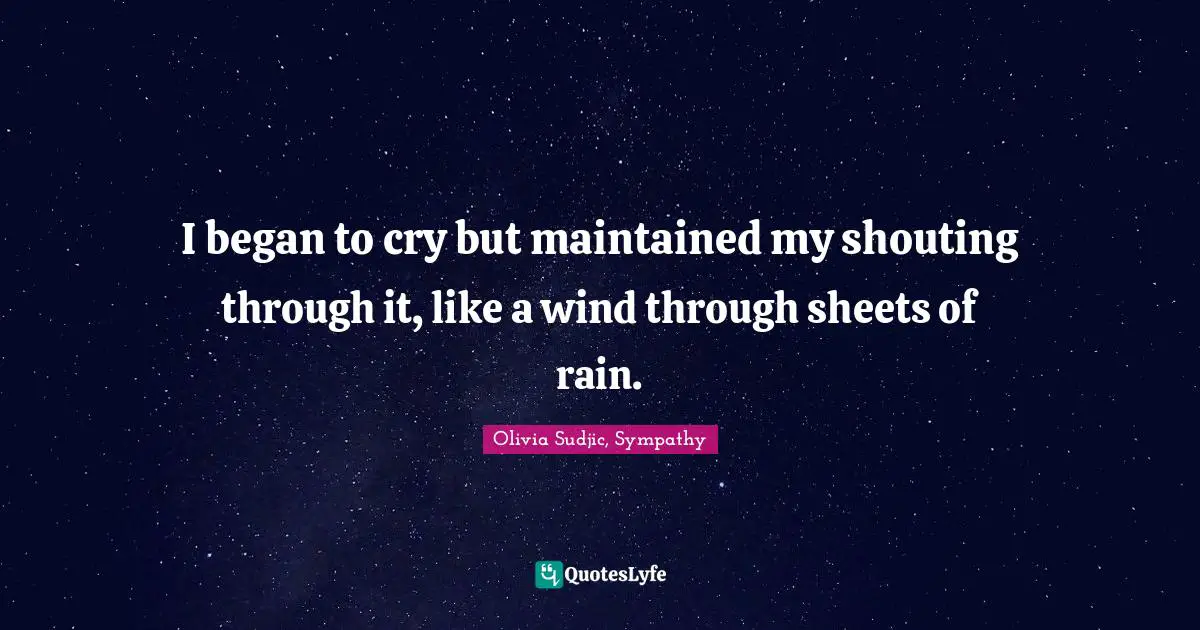 I began to cry but maintained my shouting through it, like a wind through sheets of rain.