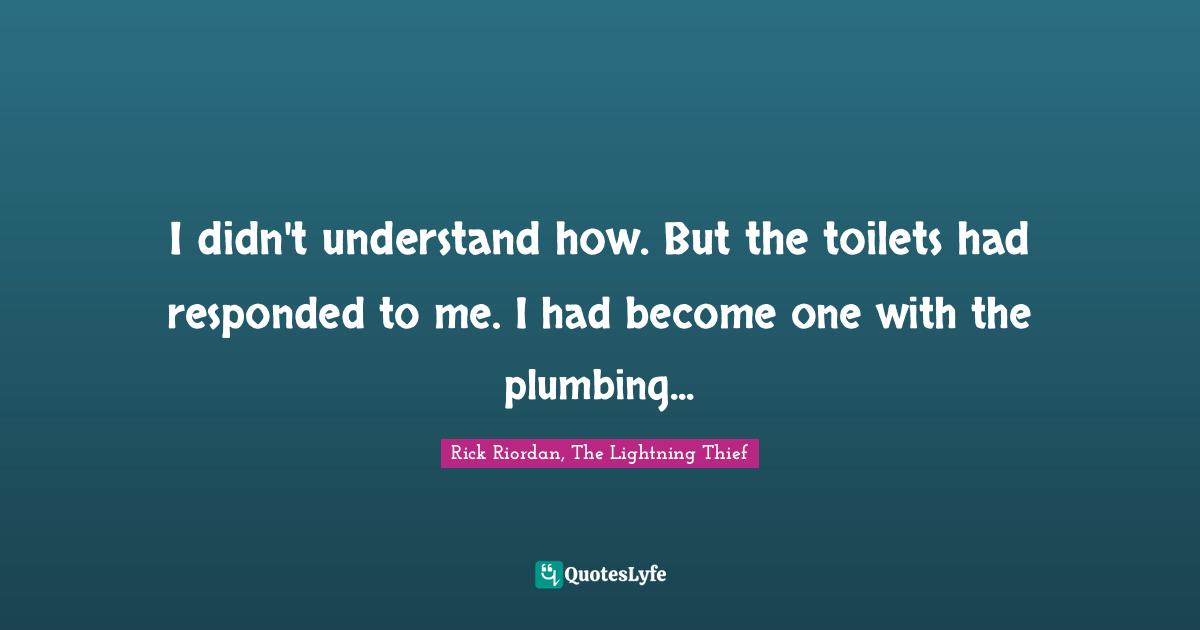 I didn't understand how. But the toilets had responded to me. I had become one with the plumbing...