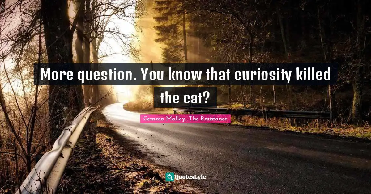 More question. You know that curiosity killed the cat?