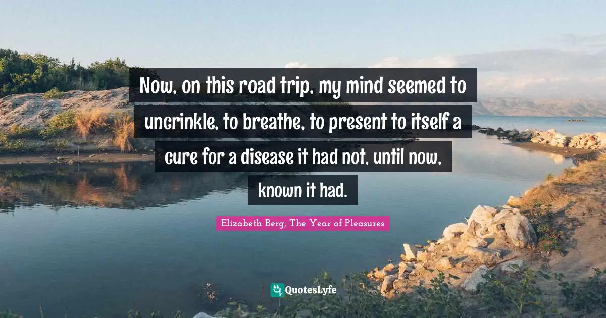 Now, on this road trip, my mind seemed to uncrinkle, to breathe, to present to itself a cure for a disease it had not, until now, known it had.