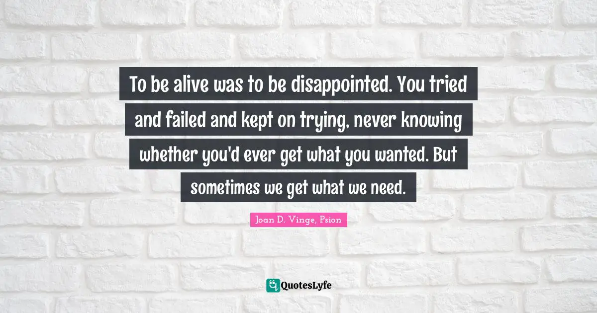 To be alive was to be disappointed. You tried and failed and kept on trying, never knowing whether you'd ever get what you wanted. But sometimes we get what we need.