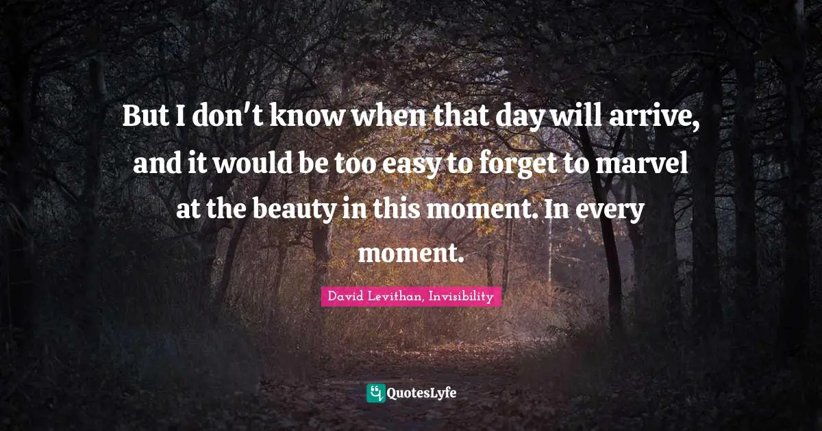 But I don't know when that day will arrive, and it would be too easy to forget to marvel at the beauty in this moment. In every moment.