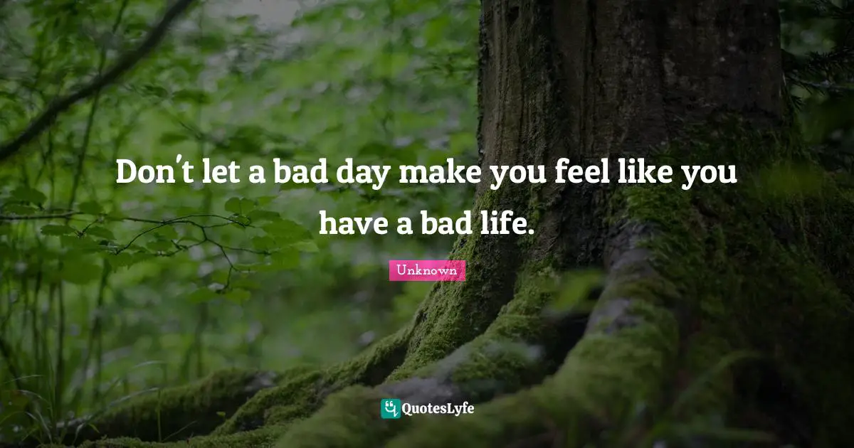 Unknown Quotes: Don't let a bad day make you feel like you have a bad life.