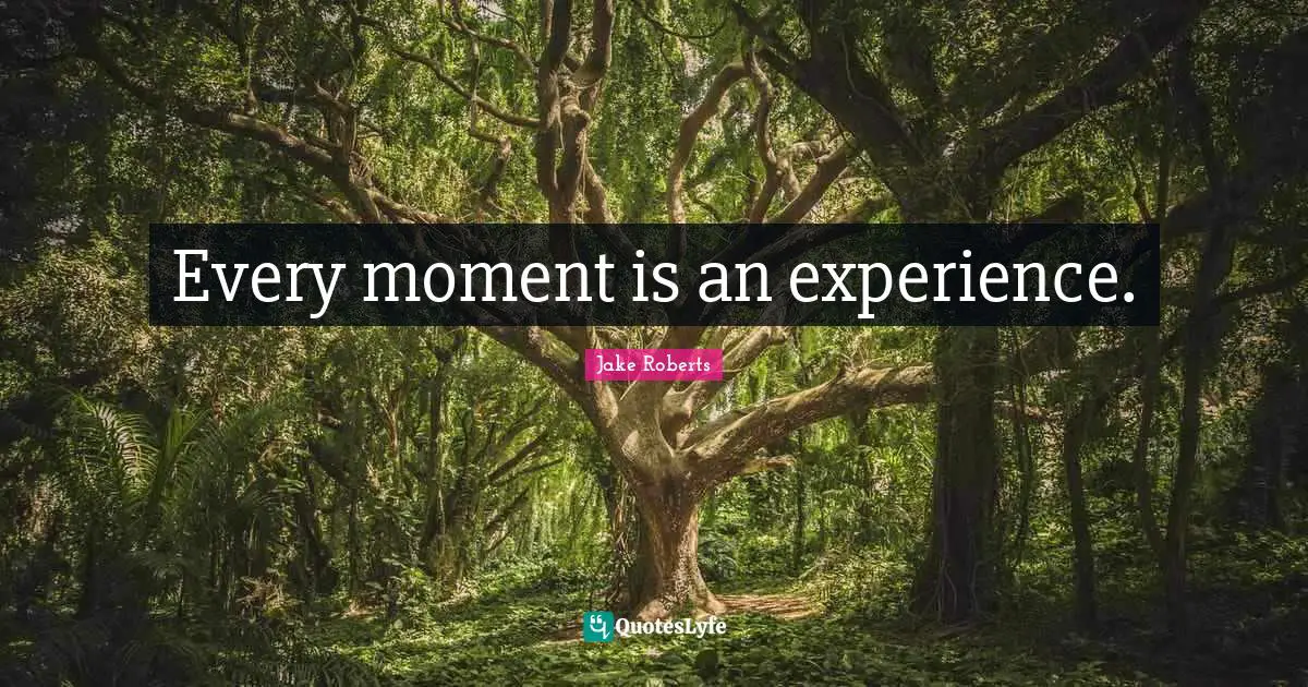 Every moment is an experience.