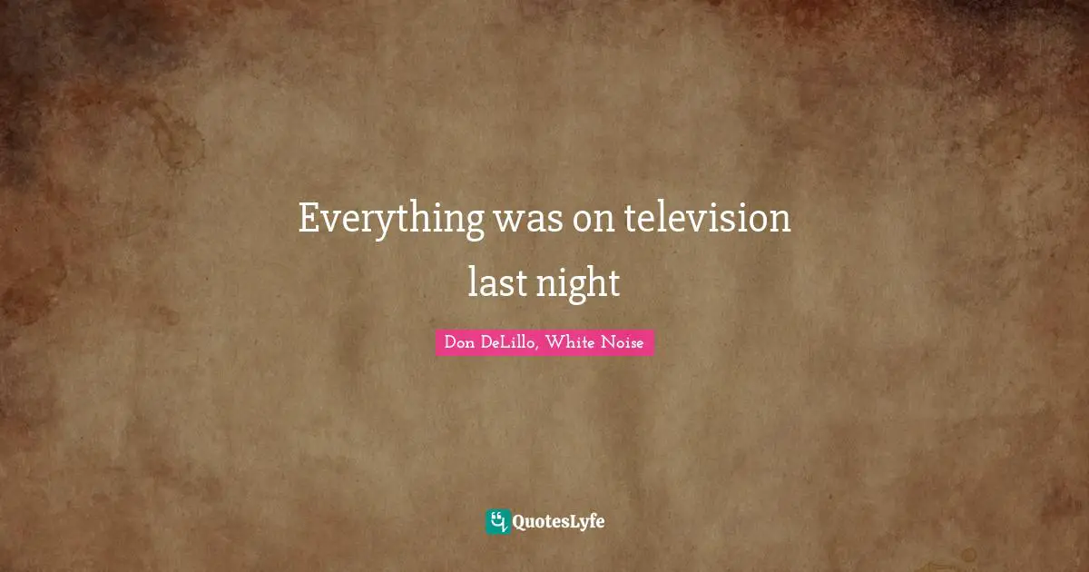 Everything was on television last night