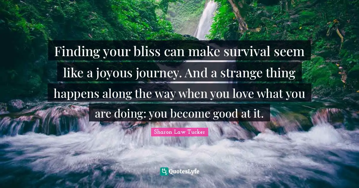 Sharon Law Tucker Quotes: Finding your bliss can make survival seem like a joyous journey. And a strange thing happens along the way when you love what you are doing: you become good at it.