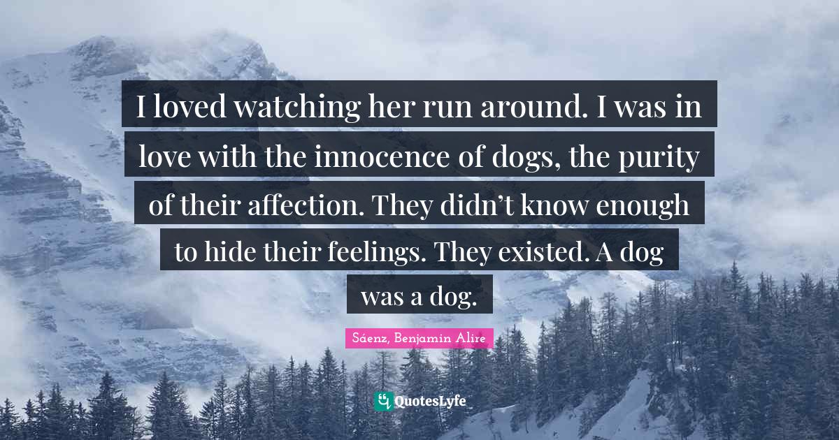 I loved watching her run around. I was in love with the innocence of dogs, the purity of their affection. They didn’t know enough to hide their feelings. They existed. A dog was a dog.