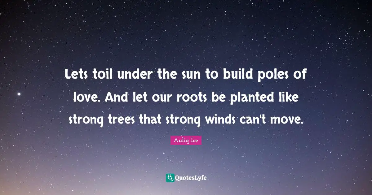 Lets toil under the sun to build poles of love. And let our roots be planted like strong trees that strong winds can't move.