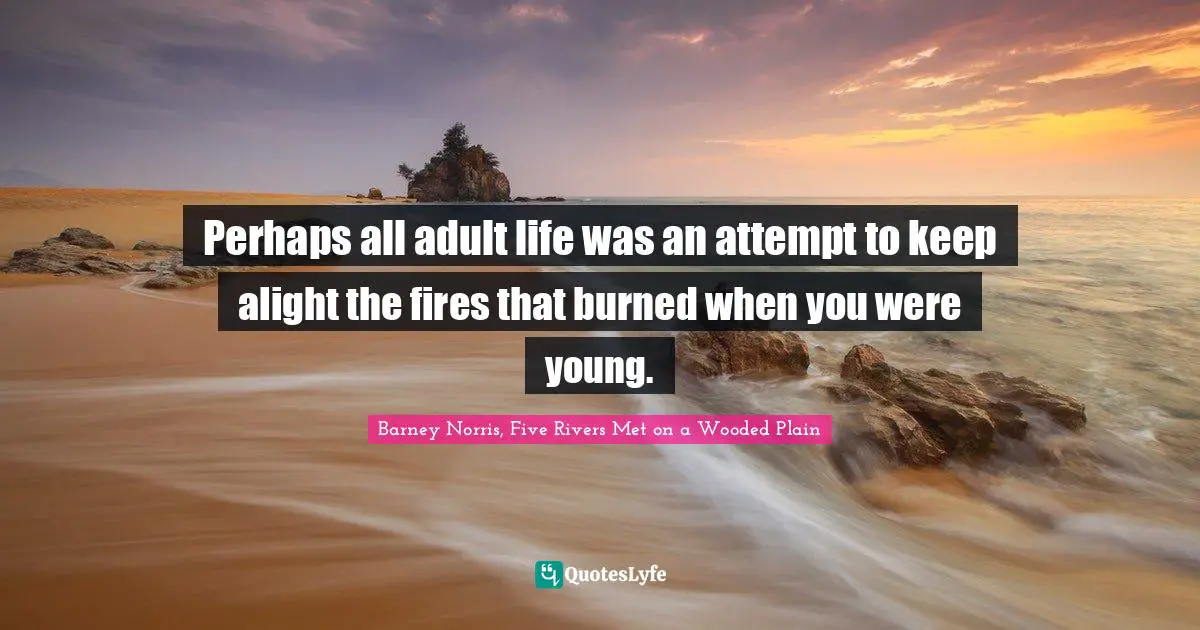 Perhaps all adult life was an attempt to keep alight the fires that burned when you were young.