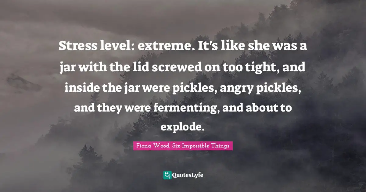 Stress level: extreme. It's like she was a jar with the lid screwed on too tight, and inside the jar were pickles, angry pickles, and they were fermenting, and about to explode.