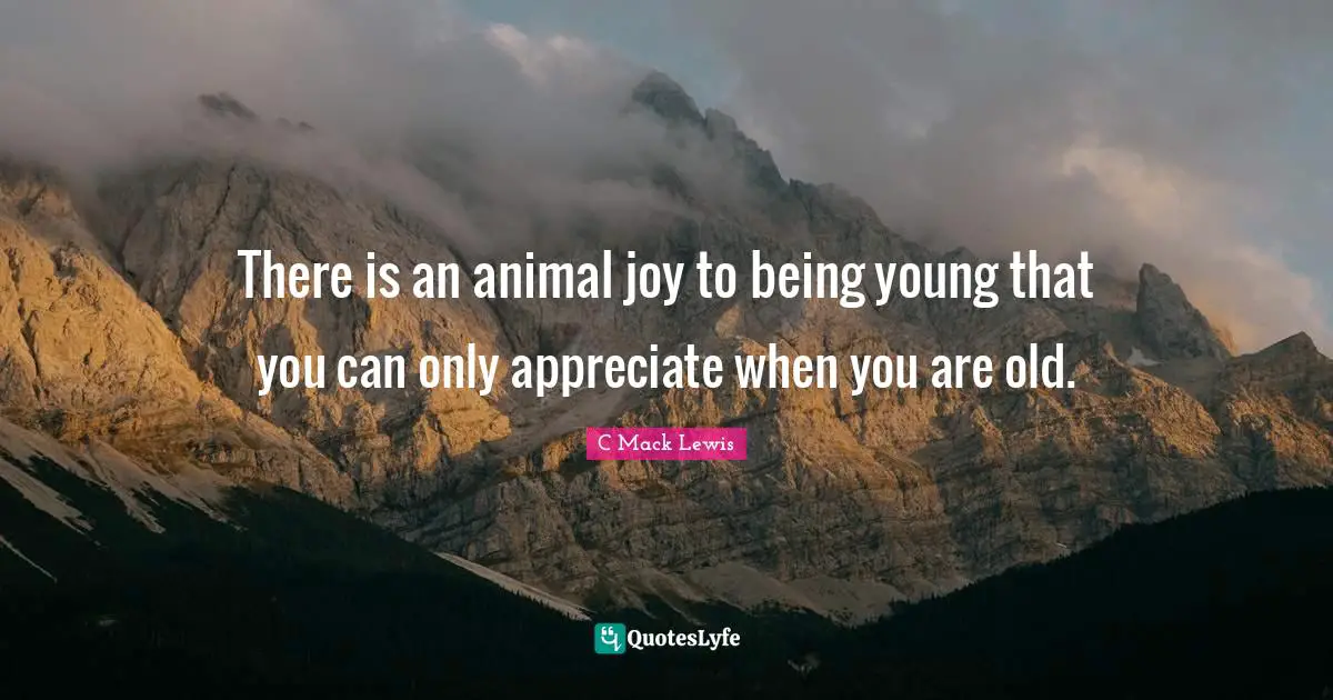 There is an animal joy to being young that you can only appreciate when you are old.