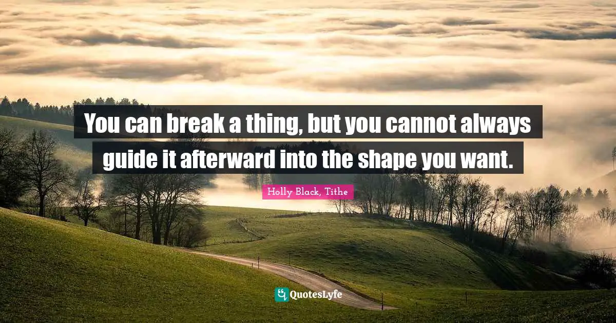 You can break a thing, but you cannot always guide it afterward into the shape you want.
