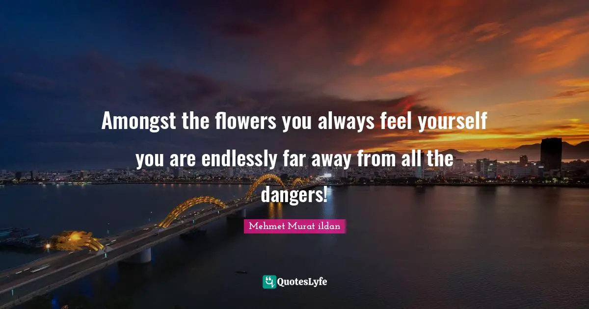 Amongst the flowers you always feel yourself you are endlessly far away from all the dangers!