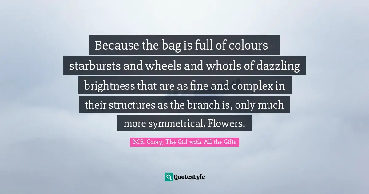 Because the bag is full of colours - starbursts and wheels and whorls of dazzling brightness that are as fine and complex in their structures as the branch is, only much more symmetrical. Flowers.
