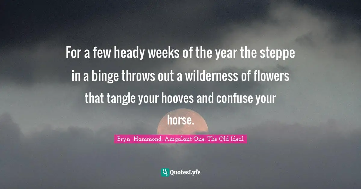 For a few heady weeks of the year the steppe in a binge throws out a wilderness of flowers that tangle your hooves and confuse your horse.