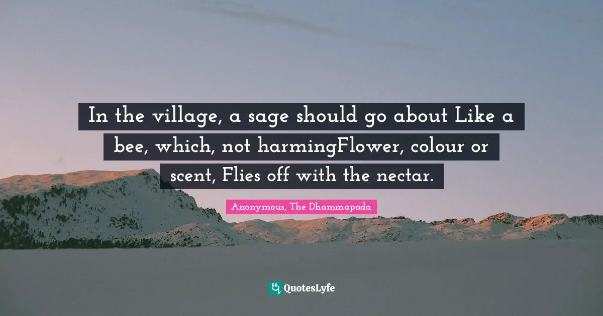 In the village, a sage should go about Like a bee, which, not harmingFlower, colour or scent, Flies off with the nectar.