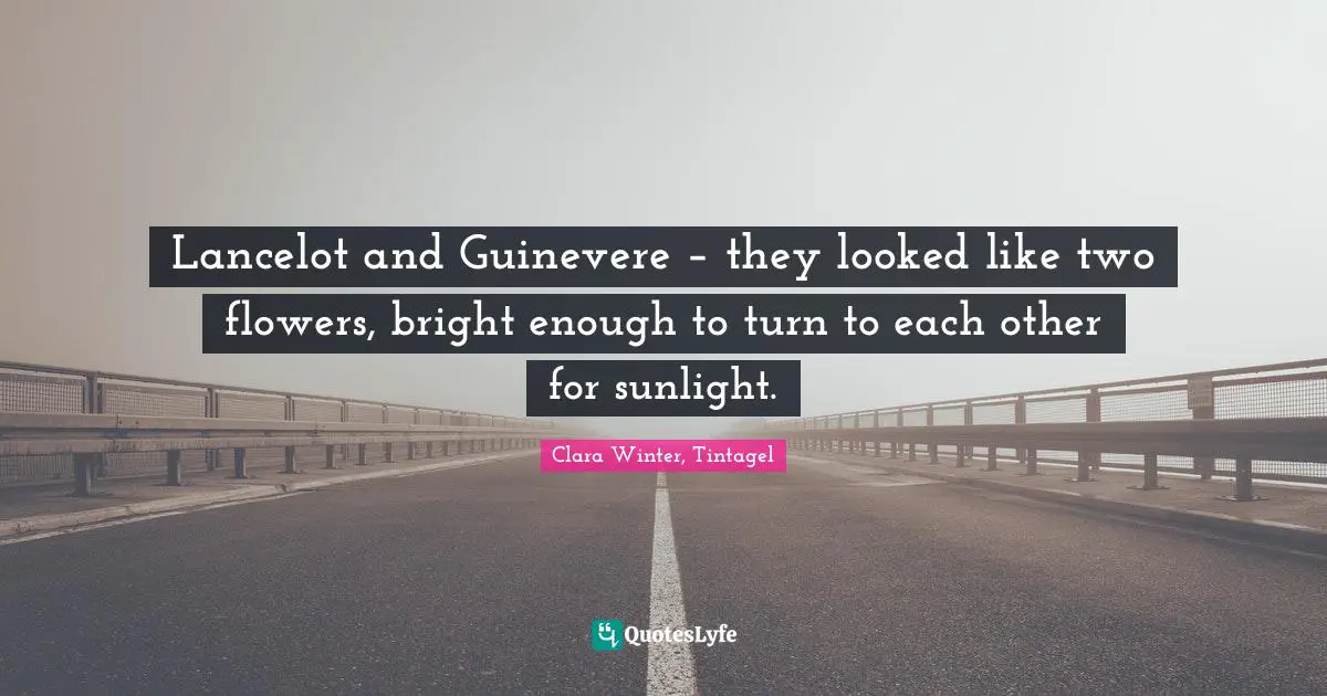 Camelot Quotes: "Lancelot and Guinevere – they looked like two flowers, bright enough to turn to each other for sunlight."