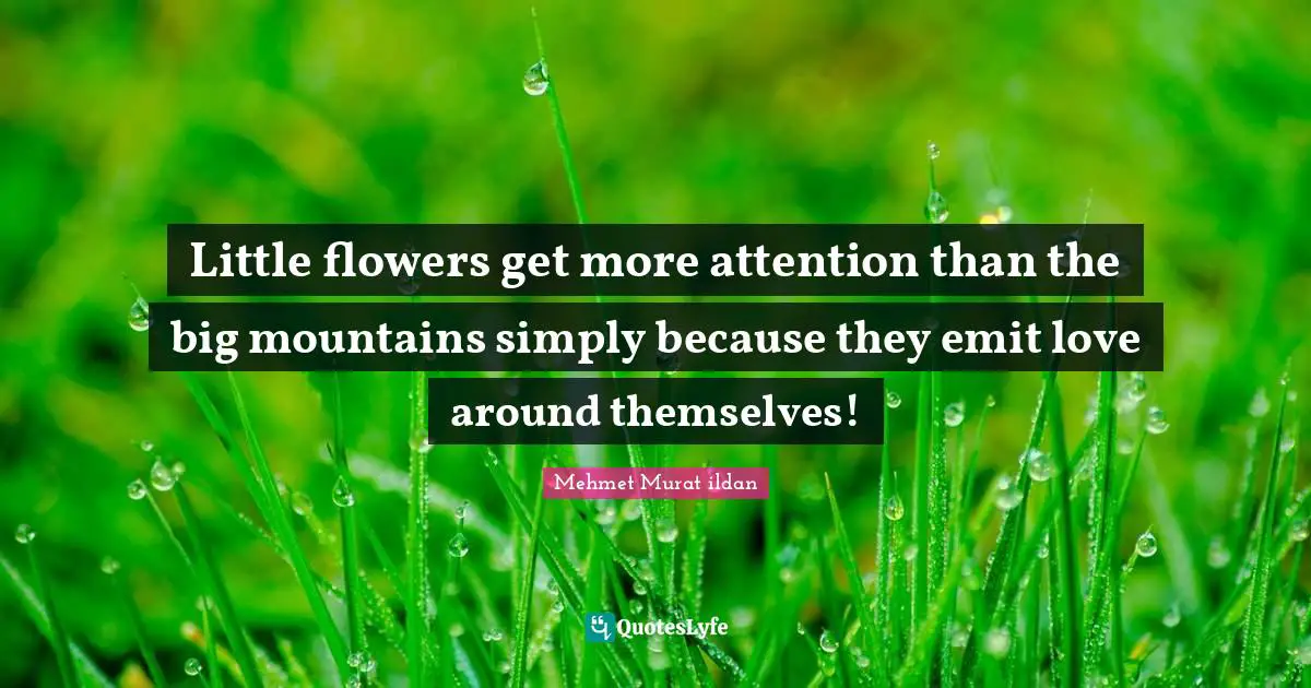 Little flowers get more attention than the big mountains simply because they emit love around themselves!