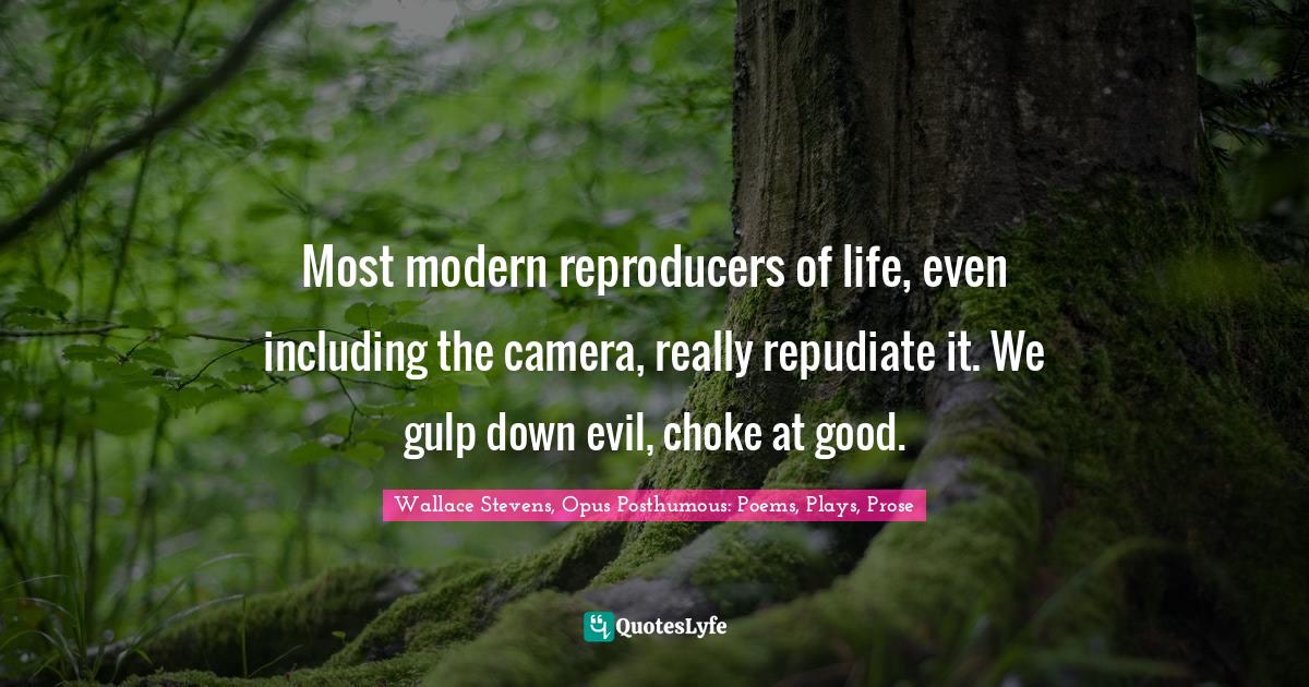 Most modern reproducers of life, even including the camera, really repudiate it. We gulp down evil, choke at good.