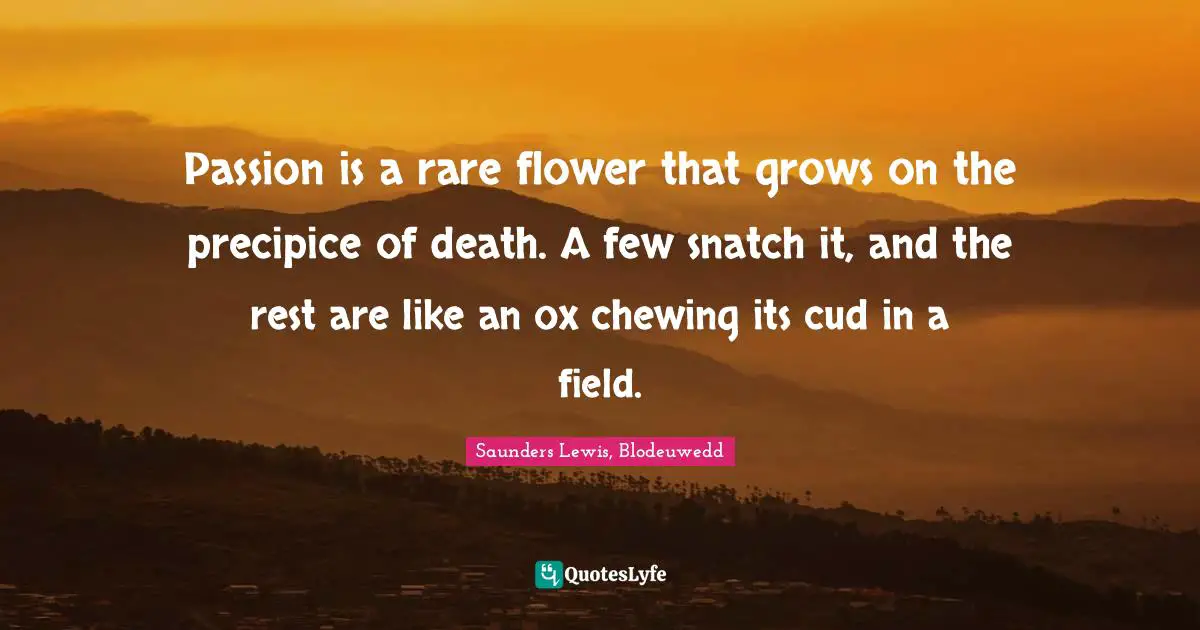 Passion is a rare flower that grows on the precipice of death. A few snatch it, and the rest are like an ox chewing its cud in a field.