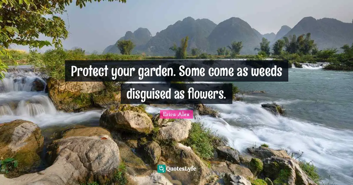 Protect your garden. Some come as weeds disguised as flowers.