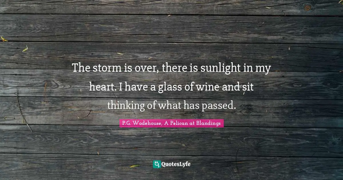 The storm is over, there is sunlight in my heart. I have a glass of wine and sit thinking of what has passed.