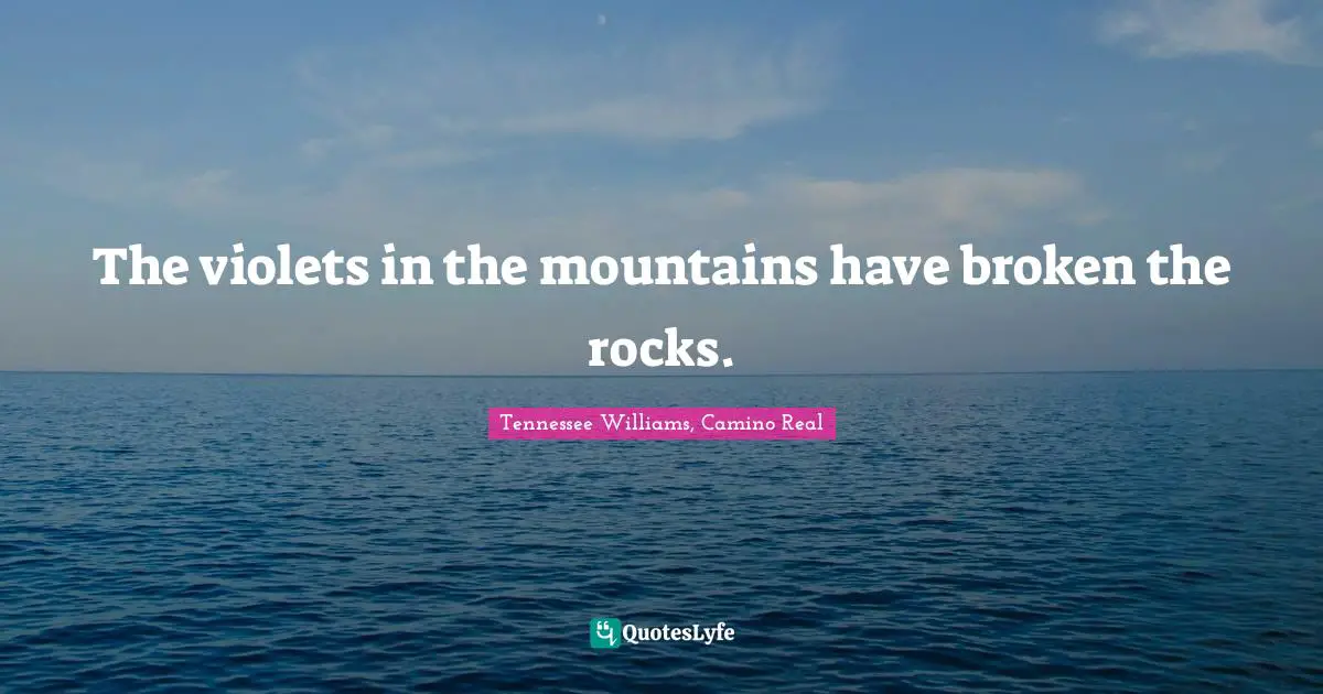 Tennessee Williams Quotes: "The violets in the mountains have broken the rocks."