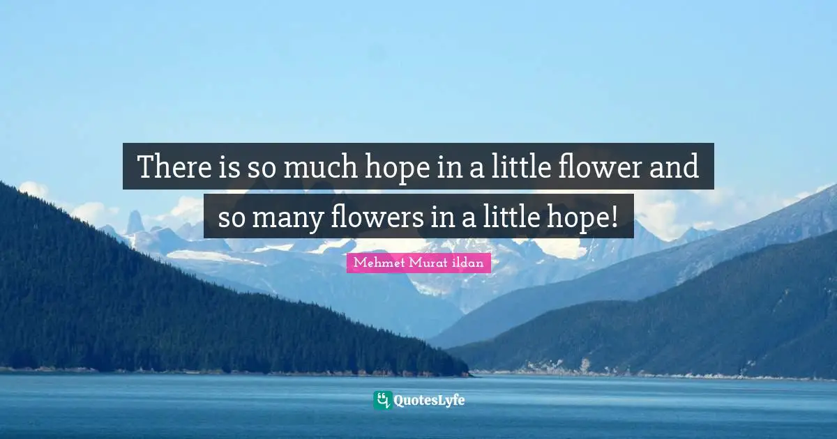 There is so much hope in a little flower and so many flowers in a little hope!