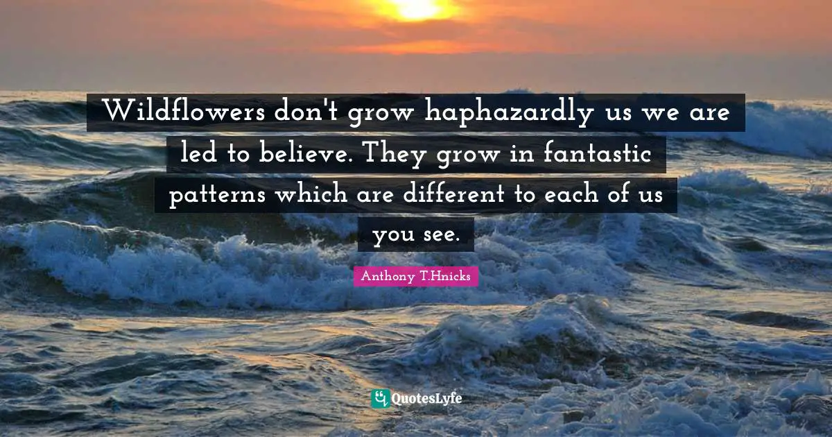 Wildflowers don't grow haphazardly us we are led to believe. They grow in fantastic patterns which are different to each of us you see.