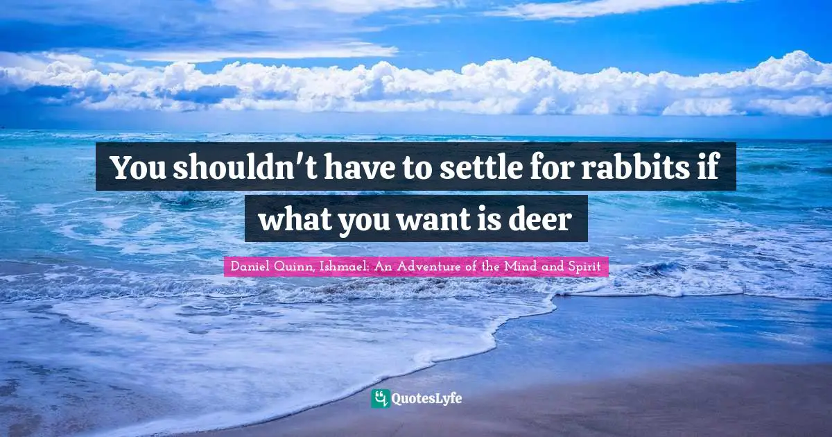 You shouldn't have to settle for rabbits if what you want is deer