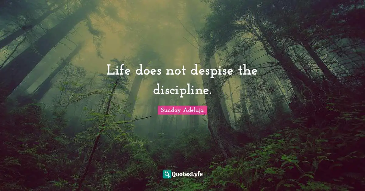 Life does not despise the discipline.