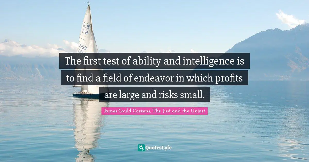 The first test of ability and intelligence is to find a field of endeavor in which profits are large and risks small.
