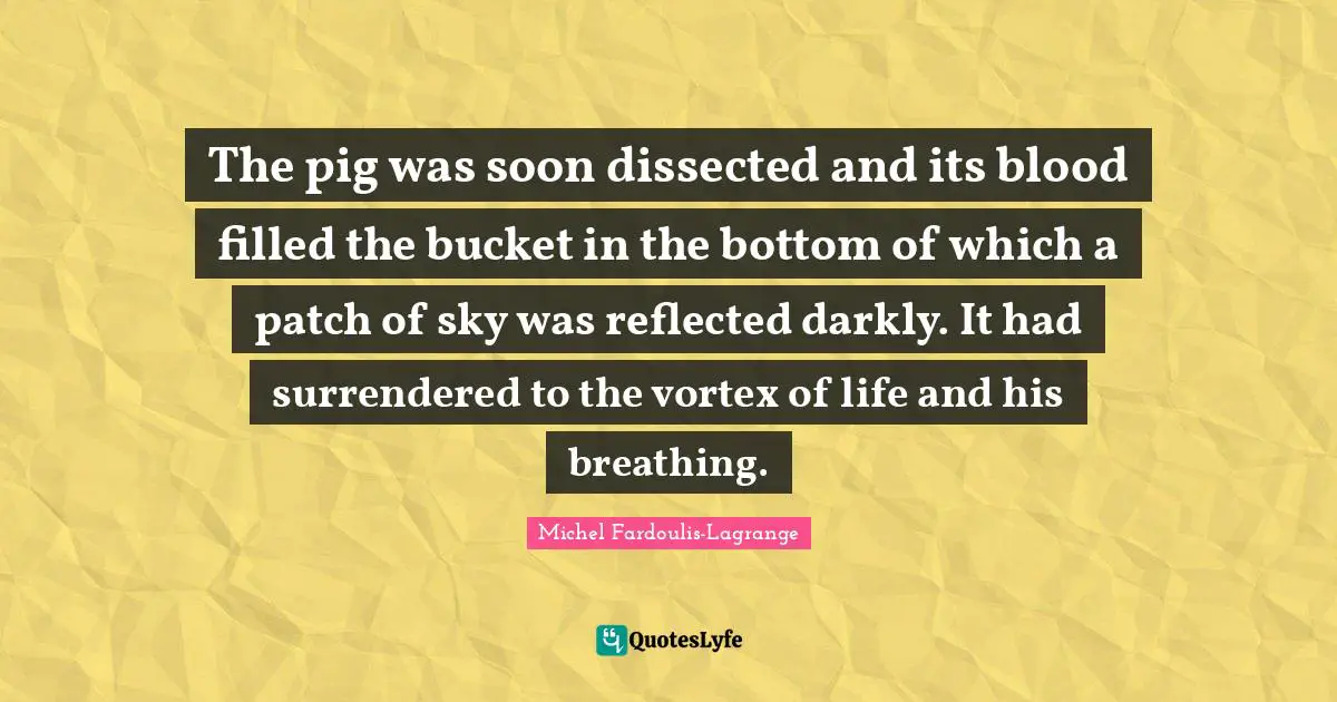 The pig was soon dissected and its blood filled the bucket in the bottom of which a patch of sky was reflected darkly. It had surrendered to the vortex of life and his breathing.