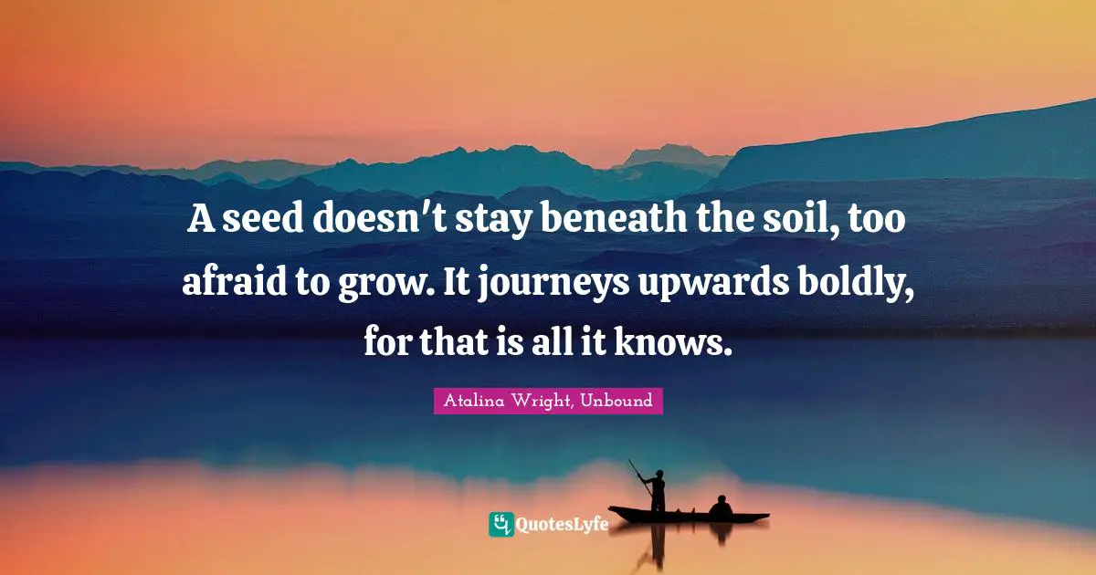 A seed doesn't stay beneath the soil, too afraid to grow. It journeys upwards boldly, for that is all it knows.