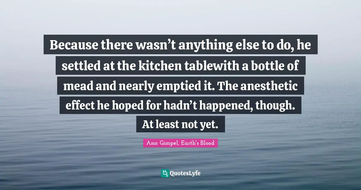 Because there wasn’t anything else to do, he settled at the kitchen tablewith a bottle of mead and nearly emptied it. The anesthetic effect he hoped for hadn’t happened, though. At least not yet.