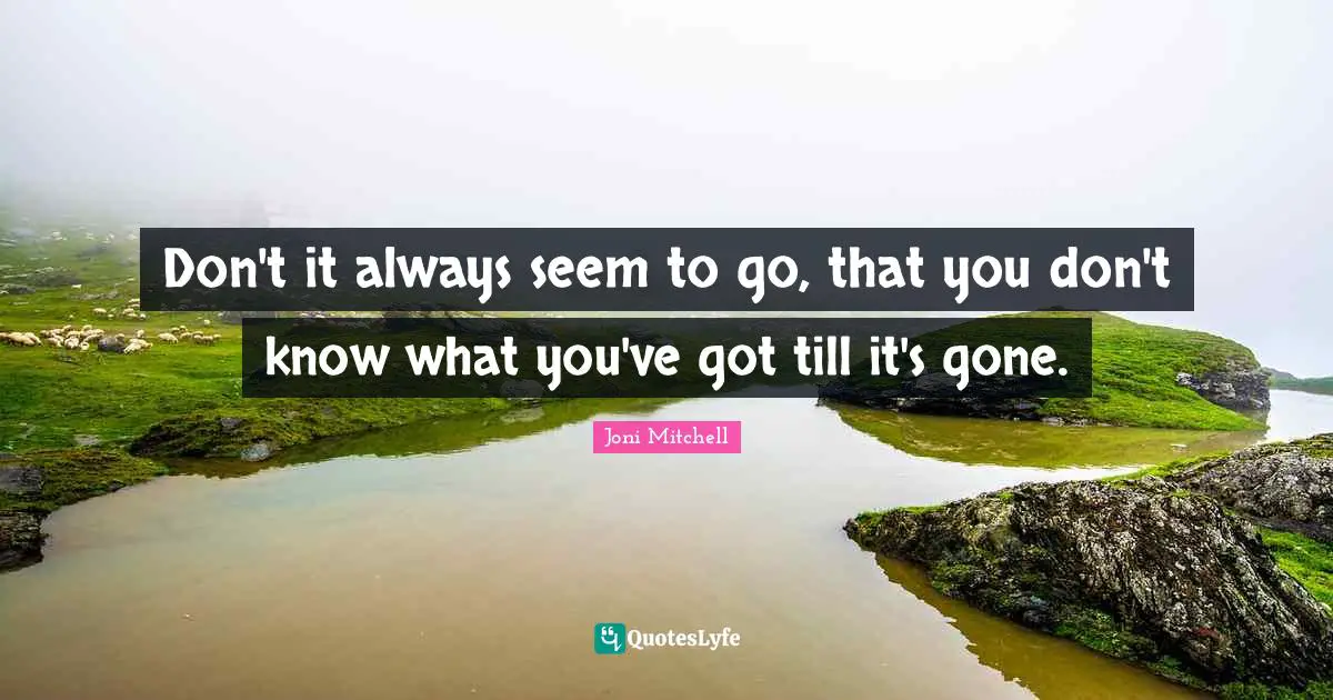 Lyrics Quotes: "Don't it always seem to go, that you don't know what you've got till it's gone."