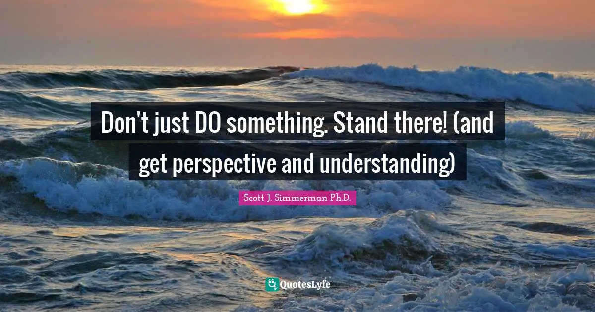 Don't just DO something. Stand there! (and get perspective and understanding)
