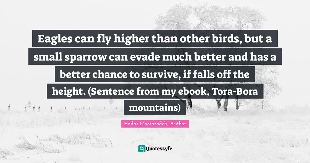 Eagles can fly higher than other birds, but a small sparrow can evade much better and has a better chance to survive, if falls off the height. (Sentence from my ebook, Tora-Bora mountains)