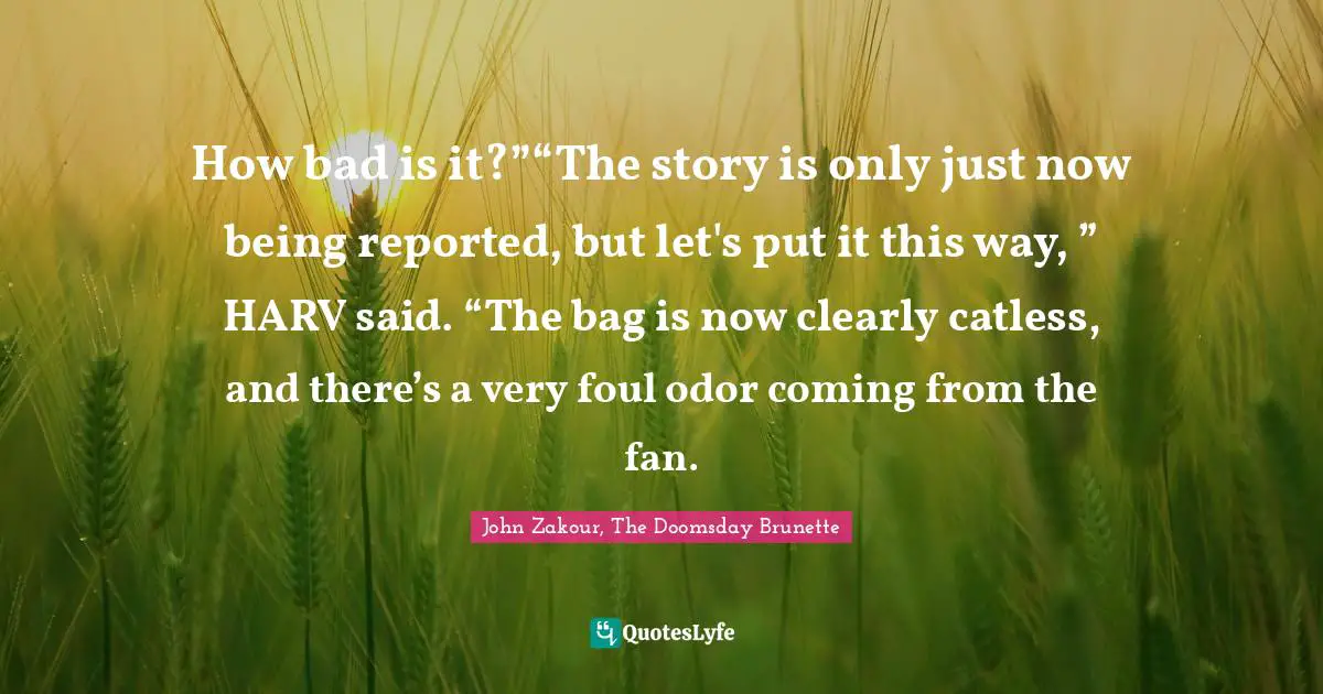 How bad is it?”“The story is only just now being reported, but let's put it this way, ” HARV said. “The bag is now clearly catless, and there’s a very foul odor coming from the fan.
