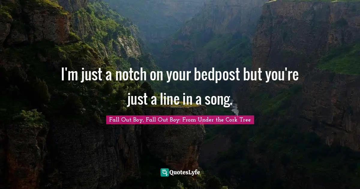 I'm just a notch on your bedpost but you're just a line in a song.
