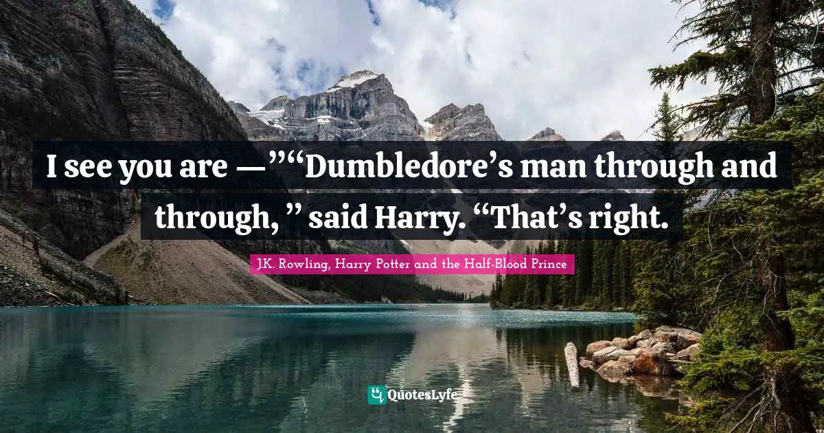 I see you are —”“Dumbledore’s man through and through, ” said Harry. “That’s right.