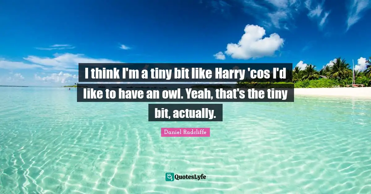 I think I'm a tiny bit like Harry 'cos I'd like to have an owl. Yeah, that's the tiny bit, actually.