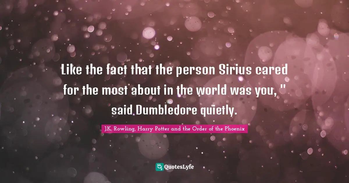 J.K. Rowling, Harry Potter and the Order of the Phoenix Quotes: Like the fact that the person Sirius cared for the most about in the world was you, 