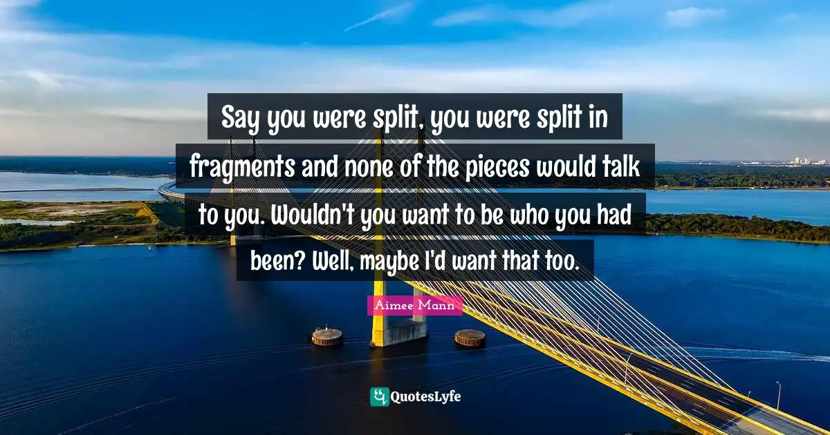 Say you were split, you were split in fragments and none of the pieces would talk to you. Wouldn't you want to be who you had been? Well, maybe I'd want that too.