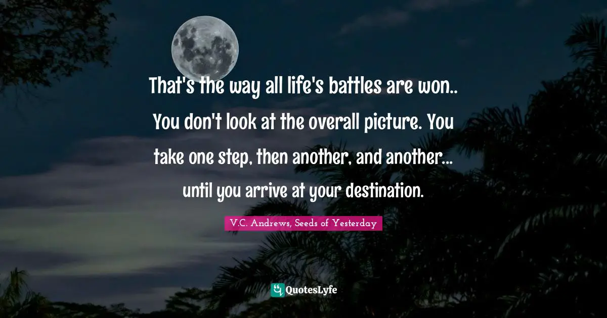 That's the way all life's battles are won.. You don't look at the overall picture. You take one step, then another, and another... until you arrive at your destination.