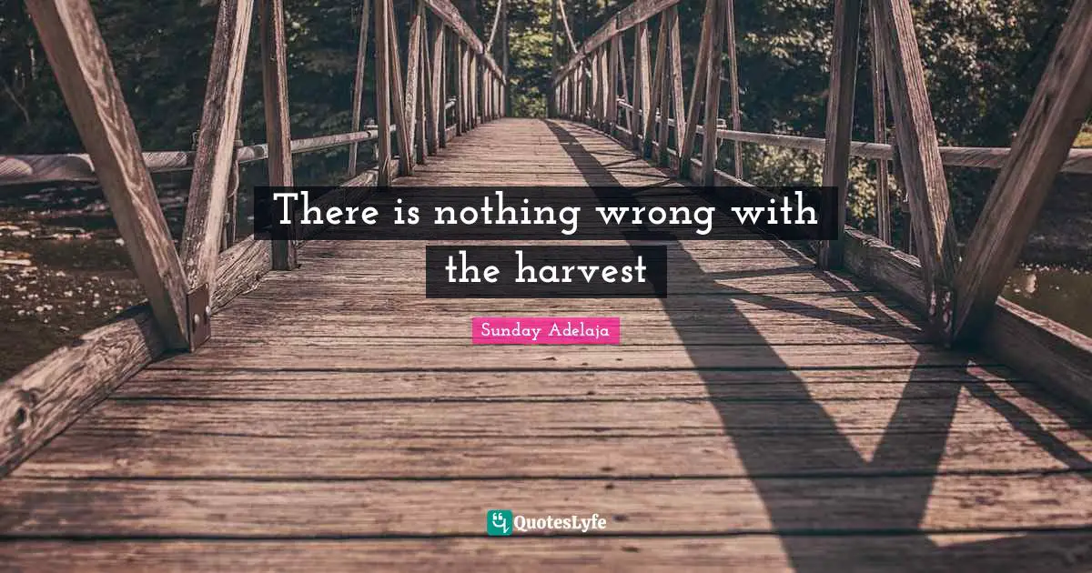 There is nothing wrong with the harvest