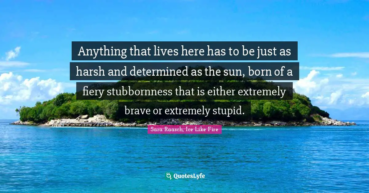 Anything that lives here has to be just as harsh and determined as the sun, born of a fiery stubbornness that is either extremely brave or extremely stupid.