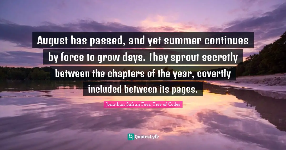 August has passed, and yet summer continues by force to grow days. They sprout secretly between the chapters of the year, covertly included between its pages.
