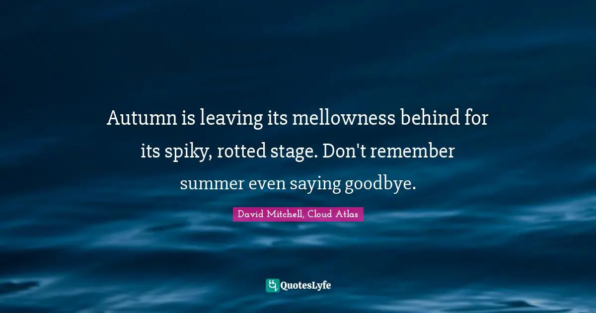 Autumn is leaving its mellowness behind for its spiky, rotted stage. Don't remember summer even saying goodbye.